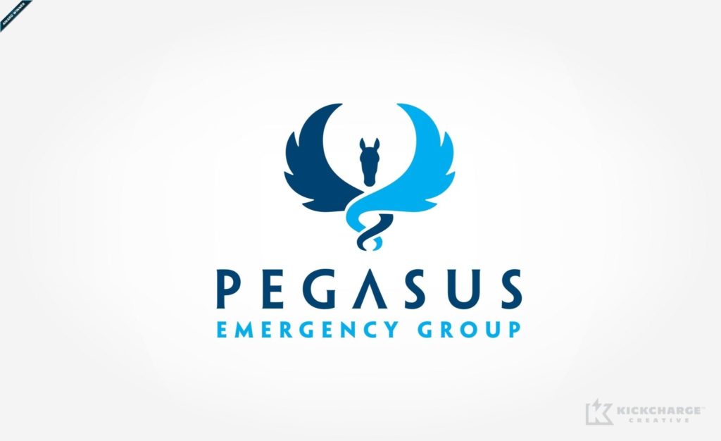 Pegasus Emergency Group