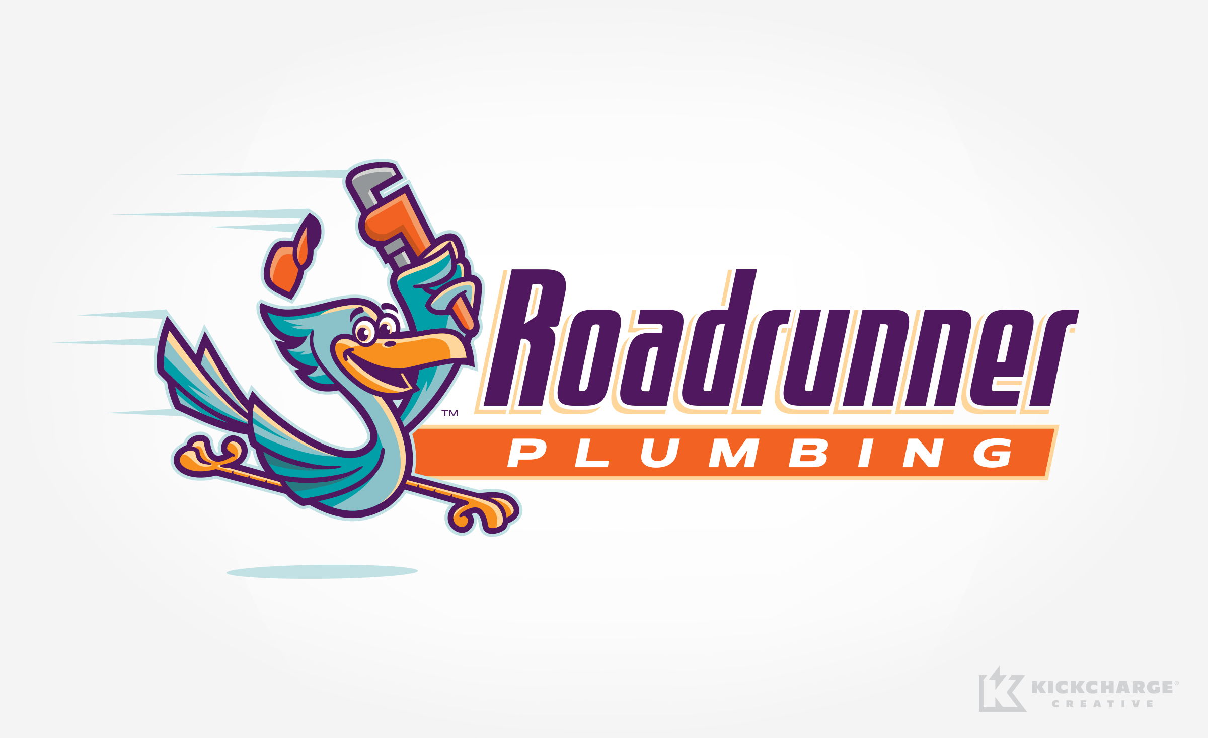 plumbing logo for Roadrunner Plumbing